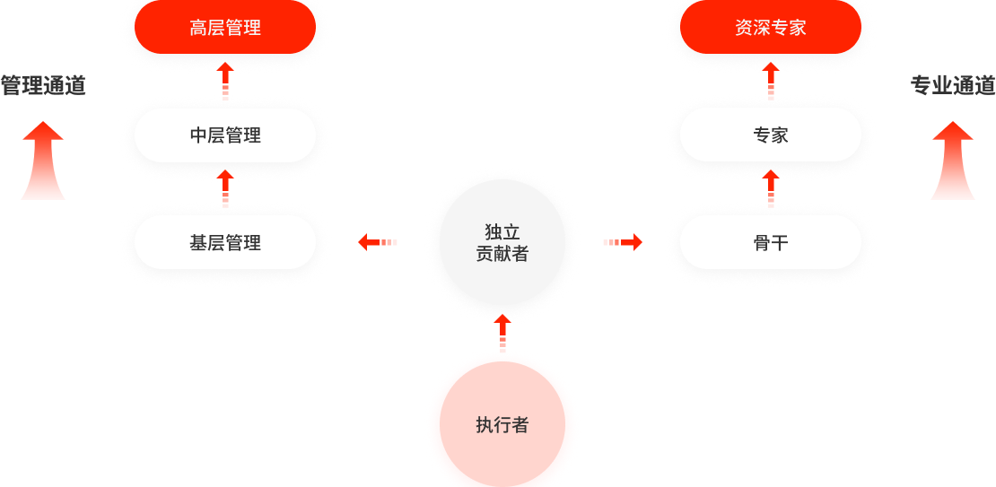 广科安德