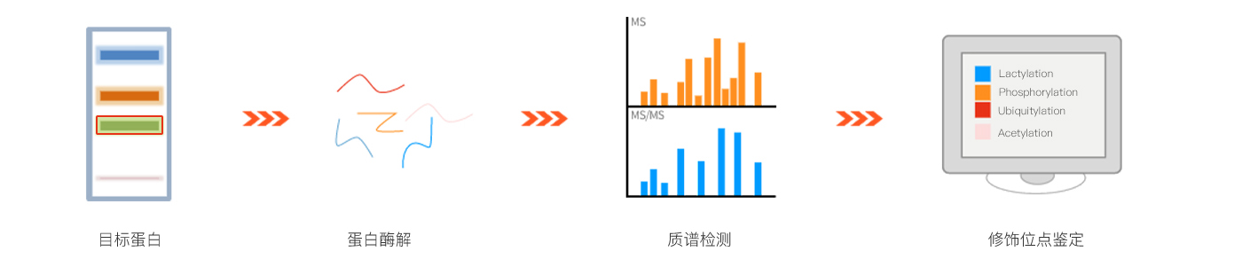 技术路线