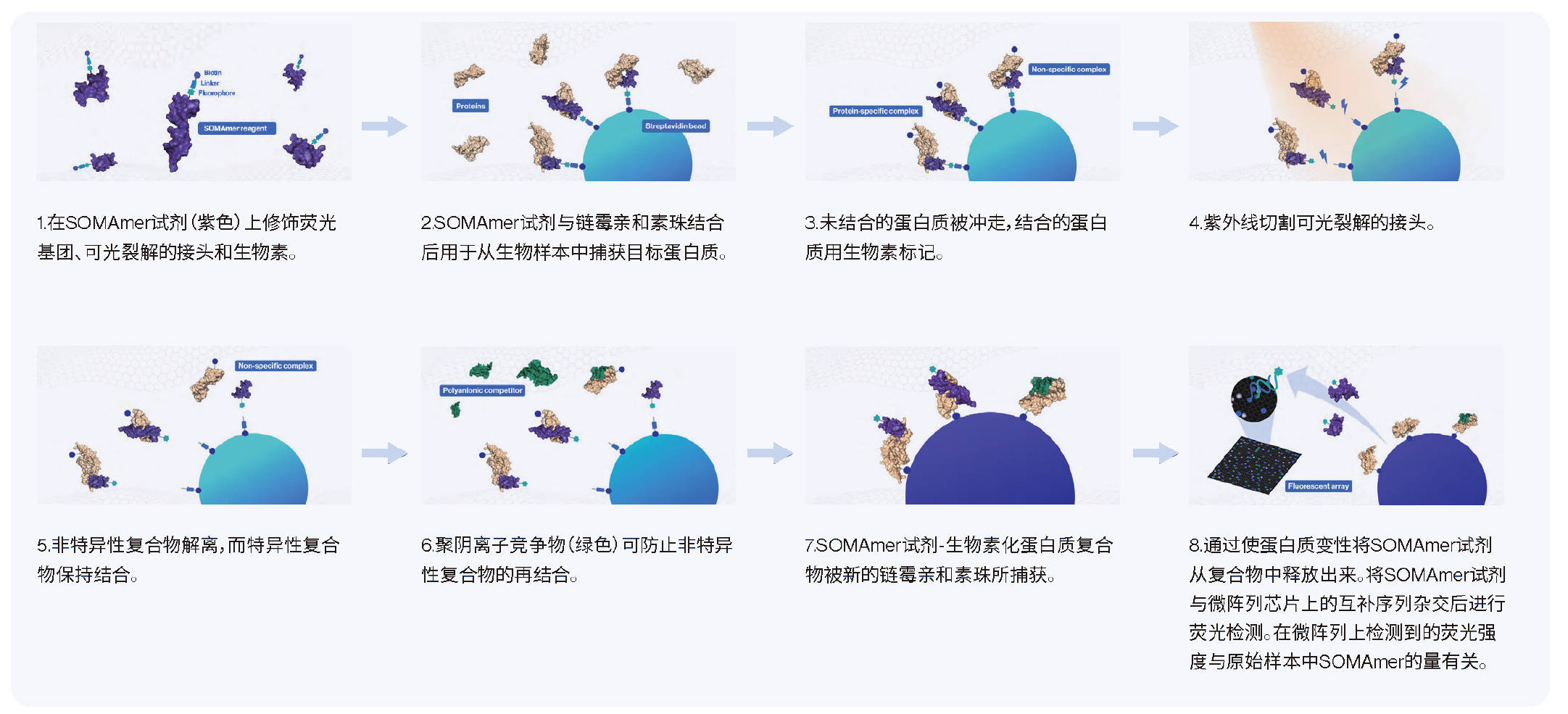 实验原理