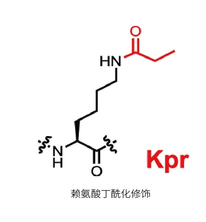 设备仪器