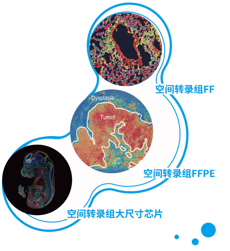 服务简介